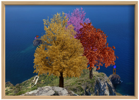 Il Trio - Conversazione tra gli alberi e il mare