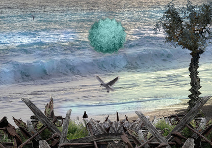 Macigno – Opera fotografica su alluminio by Norma Picciotto