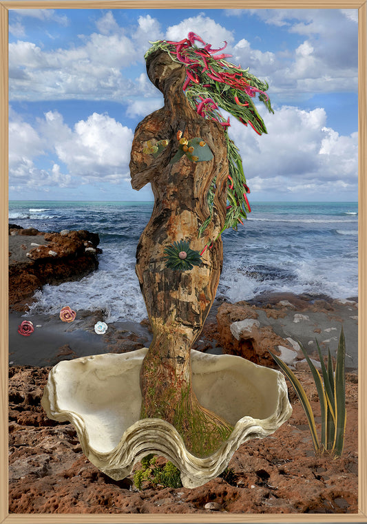 La nascita dell'albero 1 - Opera fotografica su alluminio by Norma Picciotto