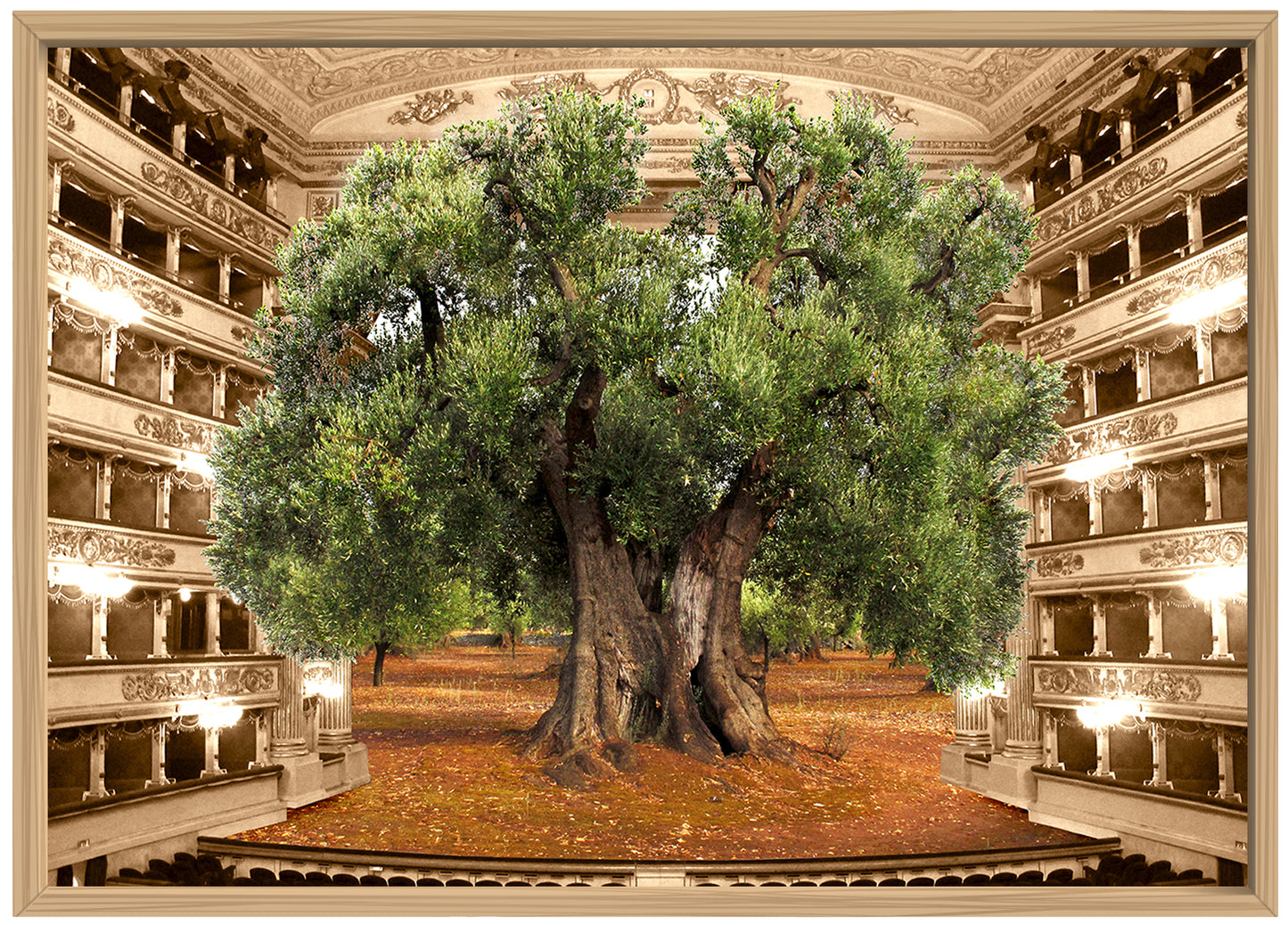 Armonia - Opera fotografica su alluminio by Norma Picciotto