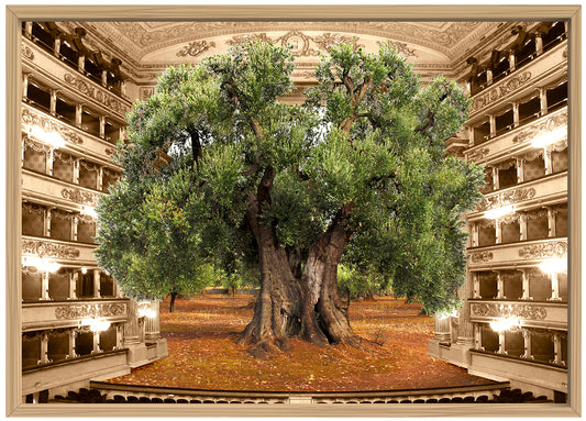 Armonia - Opera fotografica su alluminio by Norma Picciotto