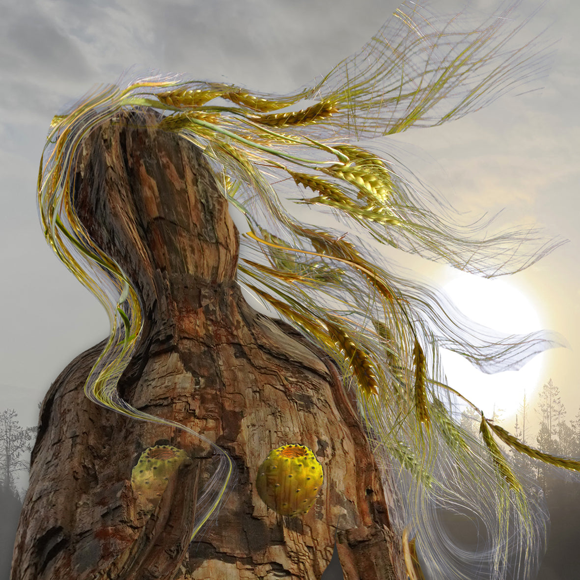 La nascita dell'albero II